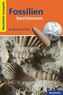 Fossilien bestimmen