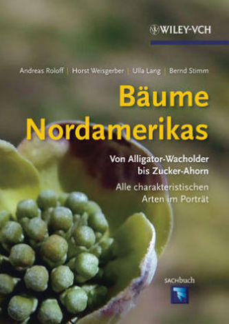 Bäume Nordamerikas