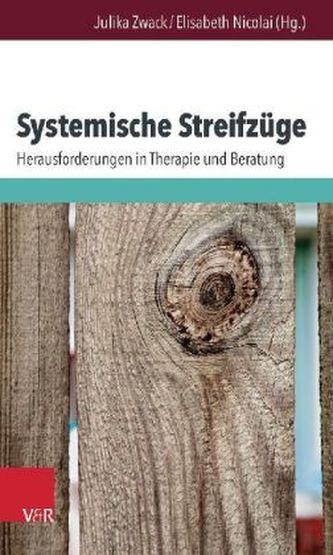 Systemische Streifzüge