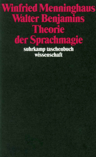 Walter Benjamins Theorie der Sprachmagie