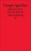 Signatura rerum, Zur Methode
