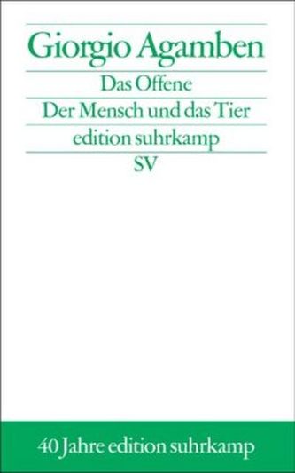 Das Offene