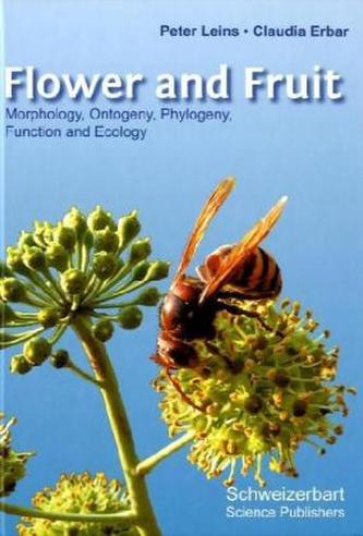 Flower and Fruit