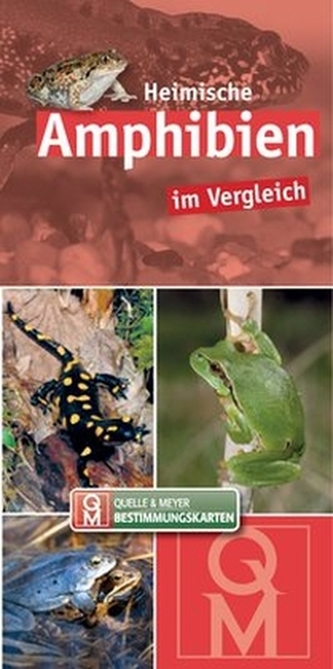 Heimische Amphibien im Vergleich, Bestimmungskarten Heimische Amphibien im Vergleich, Bestimmungskarten