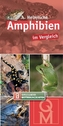 Heimische Amphibien im Vergleich, Bestimmungskarten
