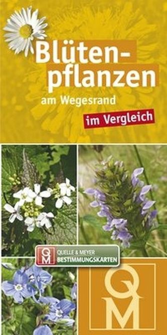 Blütenpflanzen am Wegesrand im Vergleich, Bestimmungskarten Blütenpflanzen am Wegesrand im Vergleich, Bestimmungskarten