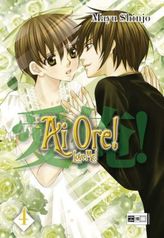 Ai Ore! Love me!. Bd.4