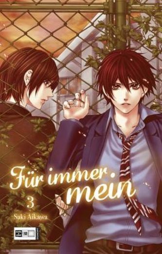 Für immer mein. Bd.3