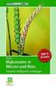 Mykotoxine in Weizen und Mais