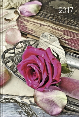 Lady-Timer Rose 2017