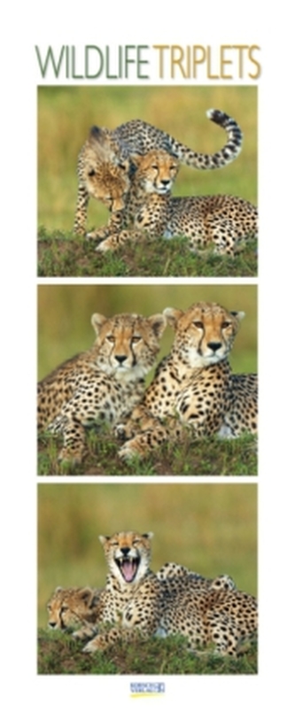 Wildlife Triplets 2017