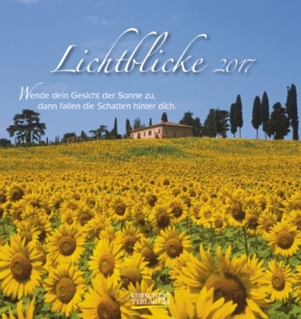 Lichtblicke 2017