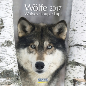 Wölfe 2017