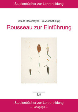 Rousseau zur Einführung
