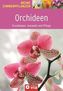 Orchideen