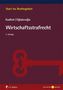 Wirtschaftsstrafrecht