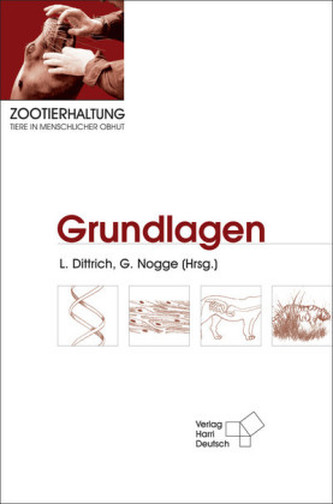 Grundlagen