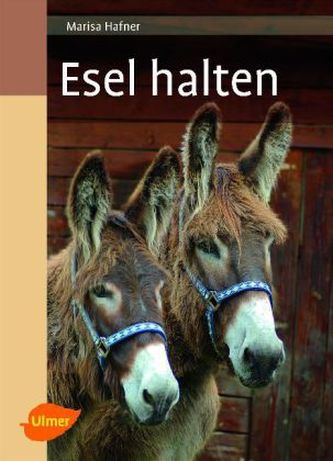 Esel halten