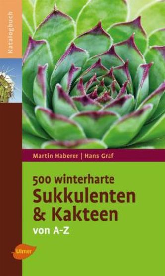500 winterharte Sukkulenten und Kakteen