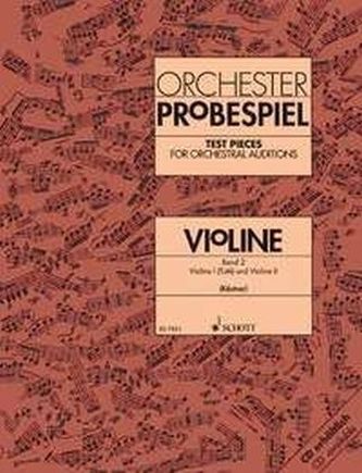Orchester-Probespiel Violine