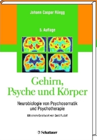 Gehirn, Psyche und Körper