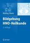 Bildgebung HNO-Heilkunde