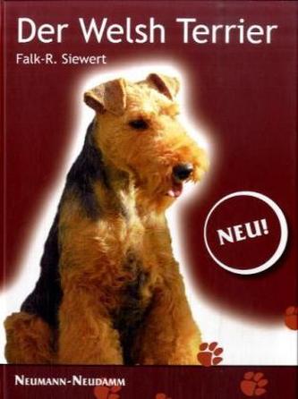 Der Welsh Terrier