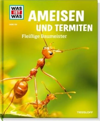 Ameisen und Termiten - Fleißige Baumeister