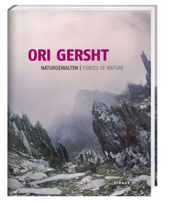 Ori Gersht. NaturGewalten