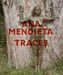 Ana Mendieta