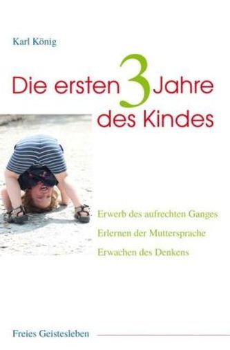 Die ersten drei Jahre des Kindes