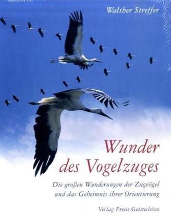 Wunder des Vogelzuges