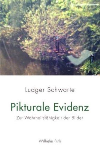 Pikturale Evidenz