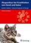 Akupunktur bei Krankheiten von Hund und Katze