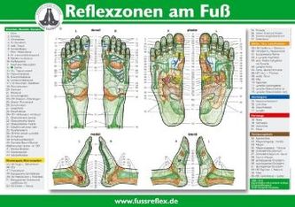 Reflexzonen am Fuß, Poster (A4)