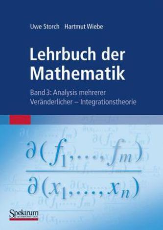 Analysis mehrerer Veränderlicher - Integrationstheorie