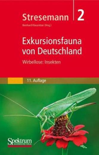 Wirbellose: Insekten