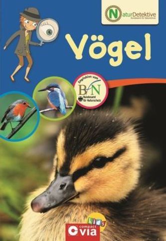 Vögel