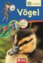 Vögel