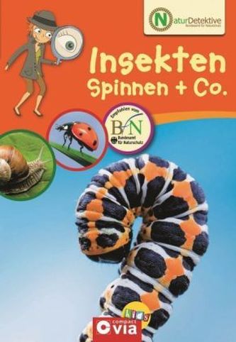 Insekten, Spinnen & Co.