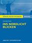 Cornelia Franz 'Ins Nordlicht blicken'
