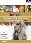 Belser Lexikon der Kunst- & Stilgeschichte 3.0, 1 DVD-ROM