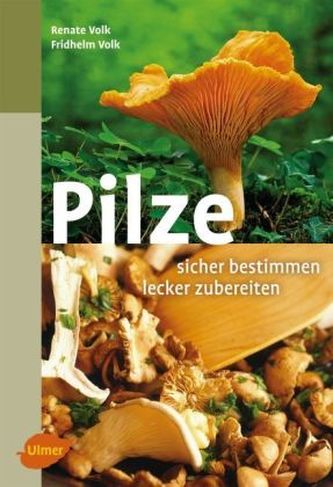 Pilze - sicher bestimmen - delikat zubereiten