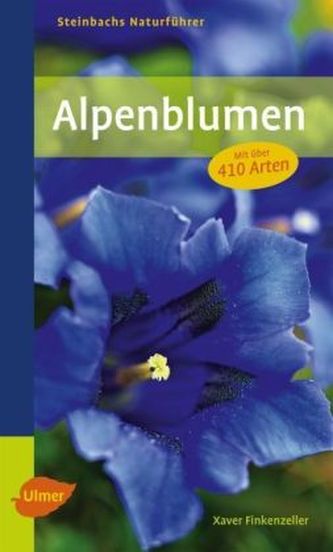 Alpenblumen