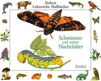 Schwärmer und andere Nachtfalter