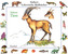 Seltene Tiere