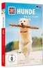 Hunde, 1 DVD