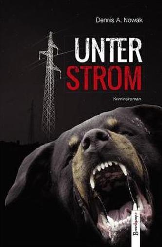 Unter Strom