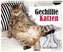 Gechillte Katzen