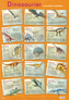 Mein Lernposter: Dinosaurier und andere Urzeittiere